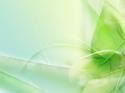 4795Vista_wallpaper_-_Green_themes.