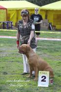 4797IMG_3137.