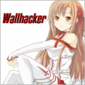 48013_Wallhacker2.