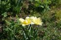 48025_2014-05-12_10-28-50.