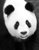 48054_xdZ4A1KxWQo.