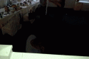 48087_gifki-1373826.
