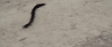 48209_767050.