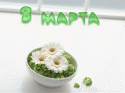 48268_8marta_73.