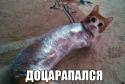 48337_zyi7GGMpb5A.