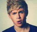 48392_211852_tribune_niall_horan.