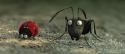 48458_Image_13.