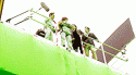 4851tumblr_lqu8byReNb1qeifydo4_250.