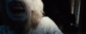 48862_tumblr_m3dcp45FTG1rrk7eto1_500.