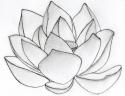 48873_lotus_flower_art_2.