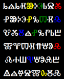 48909_doys_brain3.