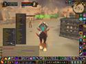 4896WoWScrnShot_072010_163829.