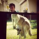 4899_kangoroo.