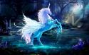 49073_lunicorn.