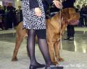 49077164IMG_203.