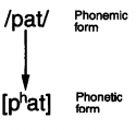 49088_Theoryoflanguage-13.