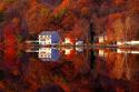 4917New_Jersey_fall.