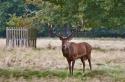 49180_oct-14lir.