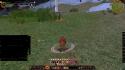 4918ScreenShot00516.