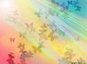 4921butterfly_rainbow-8184.