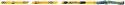 4938_255.