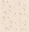 49390_10246356_24232534_1185581531_bgr_light_2_fon.