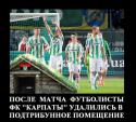 49504_karpaty.