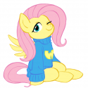 495466230_-_artist_megasweet_fluttershy_sweater_wu-tang_clan.