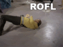 4955_ROFL.