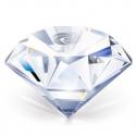 495trophy_-28574.