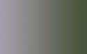 49641_hm.