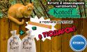 49723_Kotoff-dlya-rassylki_600h366.