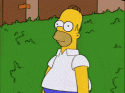 49768_hidinghomer.