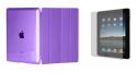 49776_purple.