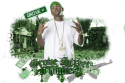 4980GRove2zftj7l.
