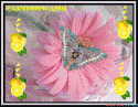 50037_HbYoQOsSUrTXqYJLMUMD.