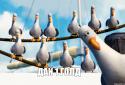 5010_day_58247047_orig_.