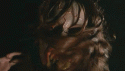 50110_arvyva1.