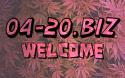 50173_70M86QQMHP.