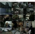 5020Babcia_2009_Lektor_PL_DVDRip_s.