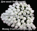 50216_oie_GK0ZtT8nLdoT.