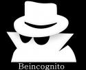 50241_incognito.