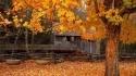 50289_Nature___Seasons___Autumn___Maple_near_old_mill_043820_23.