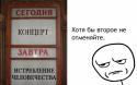 5032x_80621233.
