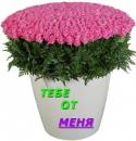 50359_tebe_ot_menya.