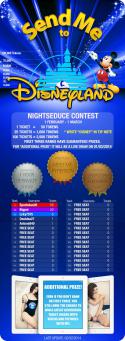 50371_Night_Disneyland_Final.