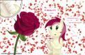 5048one_rose_to_a_rose_by_grivous-d4ev24a.