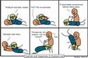 5049teabag-wrestling-aka-the-cyanide-and-happiness-kama-sutra-ru.