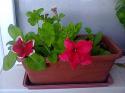 50579_Foto0555.