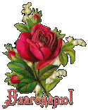 50590_61eb5_a28171f_L.